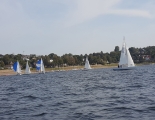 GoldCup 03