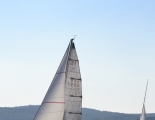 Absegeln 16