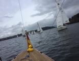 ansegeln 20