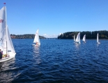 IMG 7609 web