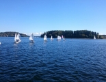 IMG 7616 web