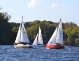 Absegeln 49