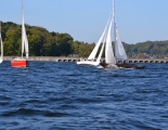 Absegeln 50