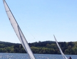 Starboote 29