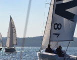 Absegeln 25