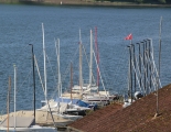 IMG 4259