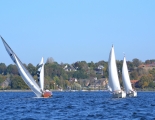 Absegeln 43