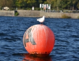 Absegeln 63
