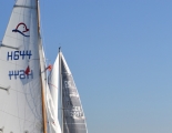 Absegeln 46